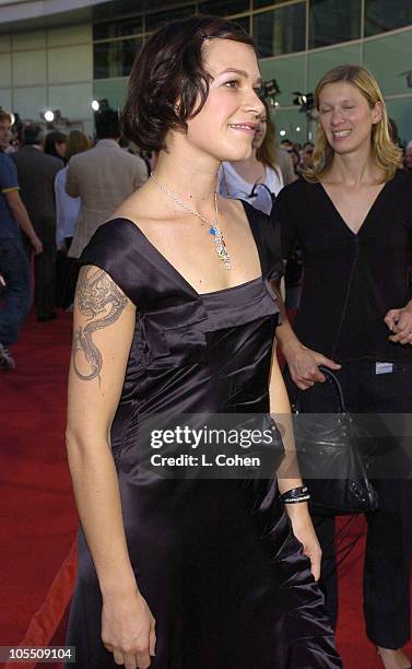 Franka Potente during "The Bourne Supremacy" World Premiere - Red Carpet at Cinerama Dome in Los Angeles, California, United States.