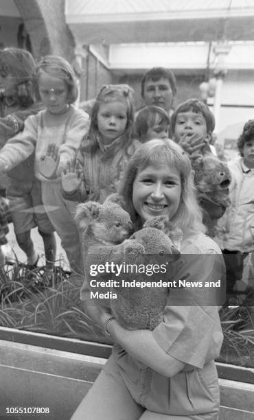 Koalas at the Zoo, Keeper Vickie Kuder of San Diego Zoo is in Dublin Zoo with the 1 year old Koalas, . .