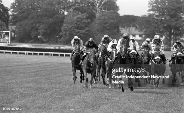 Kilsallagh Maiden Race Leopardstown, . .