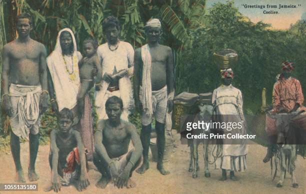 Greetings from Jamaica, laborers, early 20th century. During the 19th and early 20th centuries, the term 'coolie' usually referred to an indentured...