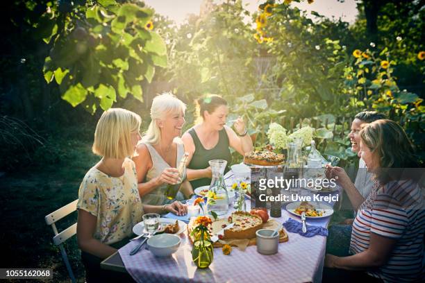 group of friends having dinner in garden - familienessen stock-fotos und bilder