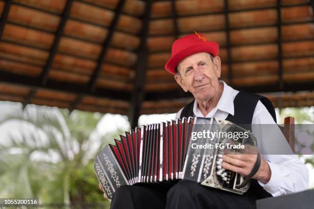 senior man speelt accordeon - accordeon instrument stockfoto's en -beelden
