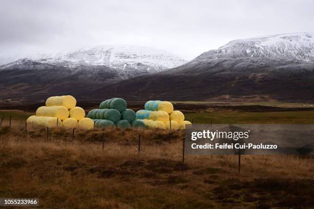 colorful hay bale at a farm in eyjafjördur, northeast iceland - bale stock pictures, royalty-free photos & images