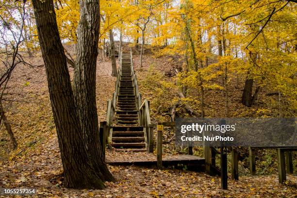 View of the Indiana Sand Dunes State Park in Chesterton, IN, United States on October 29, 2018.