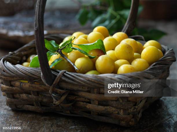 mirabelle tiny plums - mirabelle plum stock pictures, royalty-free photos & images