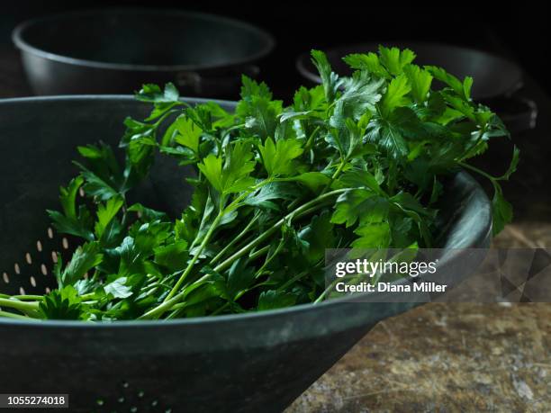 fresh parsley - colander stockfoto's en -beelden