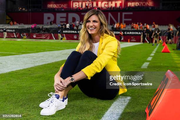 FoxSports sideline reporter Erin Andrews poses for a photo after an NFL regular season football game against the Arizona Cardinals at State Farm...