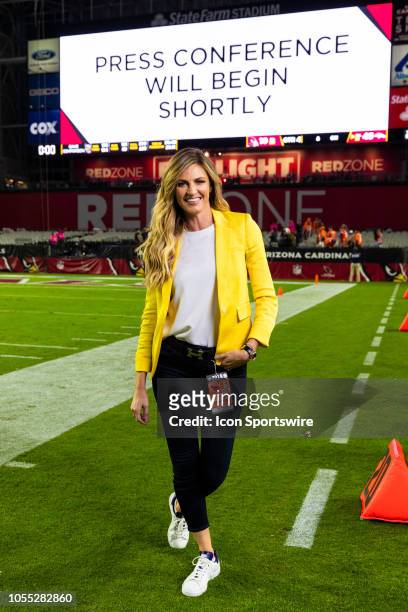 FoxSports sideline reporter Erin Andrews poses for a photo after an NFL regular season football game against the Arizona Cardinals at State Farm...
