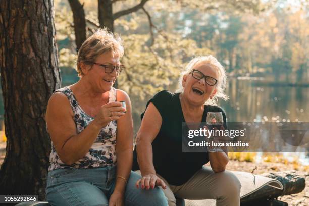 un couple de femmes âgées en pique-nique - coffee break party photos et images de collection