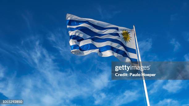 uruguayan flag - uruguay flag stock pictures, royalty-free photos & images