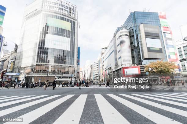 shibuya crossing tokyo japan - スクランブル交差点 ストックフォトと画像