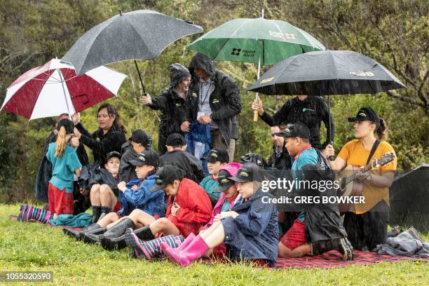 31 Pinehill New Zealand Stock Photos, HighRes Pictures, and Images