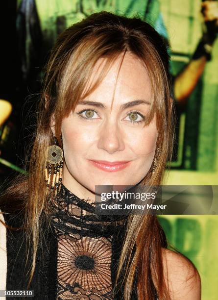 Diane Farr during New Line Cinema's "Domino" Los Angeles Premiere - Arrivals at Grauman's Chinese Theatre in Hollywood, California, United States.