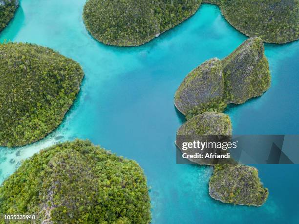 wayag, raja ampat islands, west papua, indonesia - raja ampat islands 個照片及圖片檔
