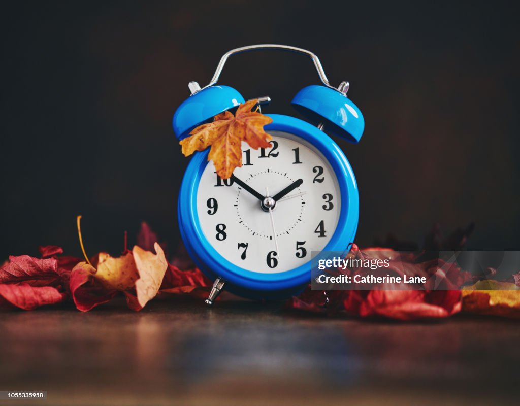 Daylight Savings Time. Clocks Fall Back