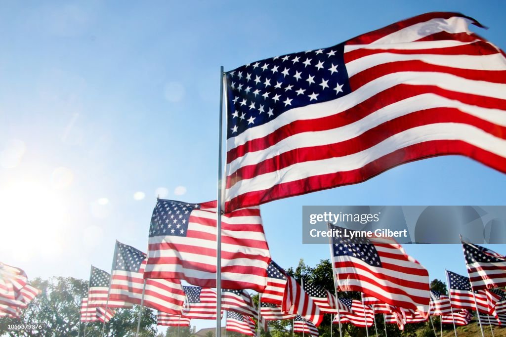 United States flags blow in the wind in Malibu, CA