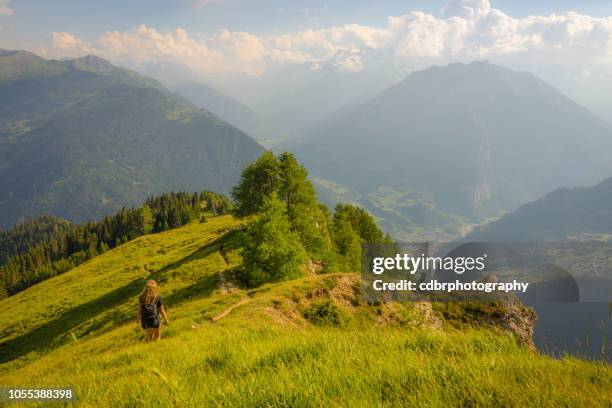 sunset mountain meadow hiking - verbier stock pictures, royalty-free photos & images