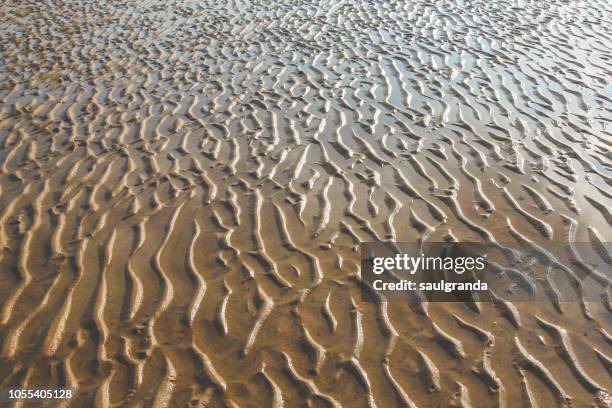 Rockpool Ripples 111 Rockpool Textures Closeup Stock Photos, High-Res Pictures, and ...
