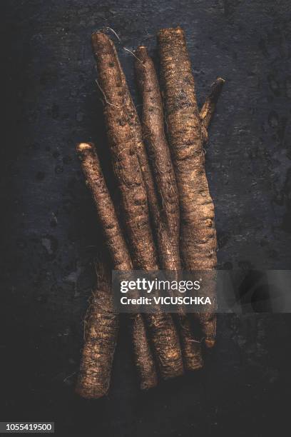 black salsify roots on dark background, top view - salsify fotografías e imágenes de stock
