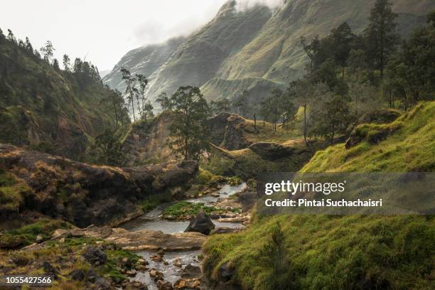 hot spring and waterfall in the rinjani volcano complex, lombok, indonesia - mount rinjani 個照片及圖片檔