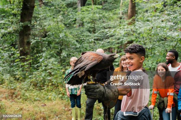 excited to experience something new - field trip stock pictures, royalty-free photos & images