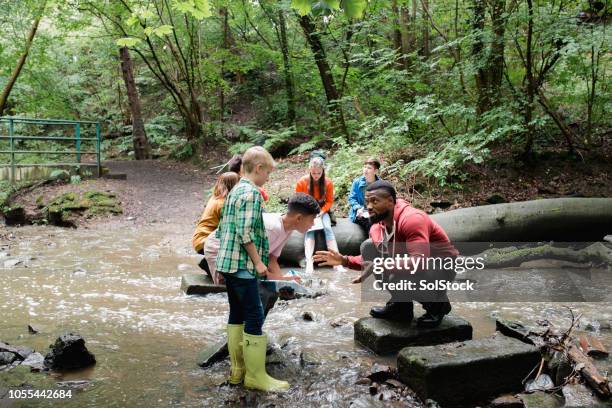 searching the river for wildlife - teaching kids stock pictures, royalty-free photos & images