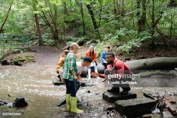searching the river for wildlife - recreational pursuit stock pictures, royalty-free photos & images