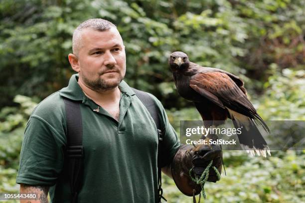 Man Using Hawk Tool 2,327 A Man With A Hawk Stock Photos, High-Res Pictures, and Images ...