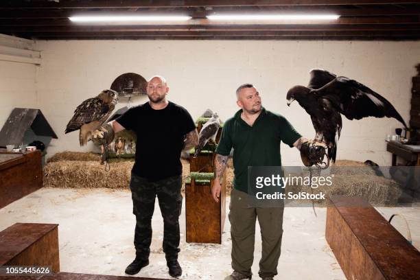 falconers holding birds of prey - hobby bird of prey stock pictures, royalty-free photos & images