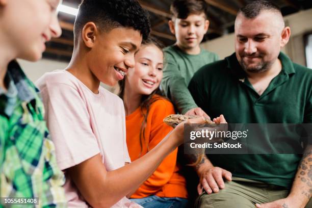 teenage boy holding a bearded dragon - zoo stock pictures, royalty-free photos & images