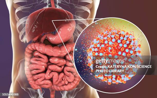 destruction of hepatitis c viruses, illustration - hepatitis c stock illustrations