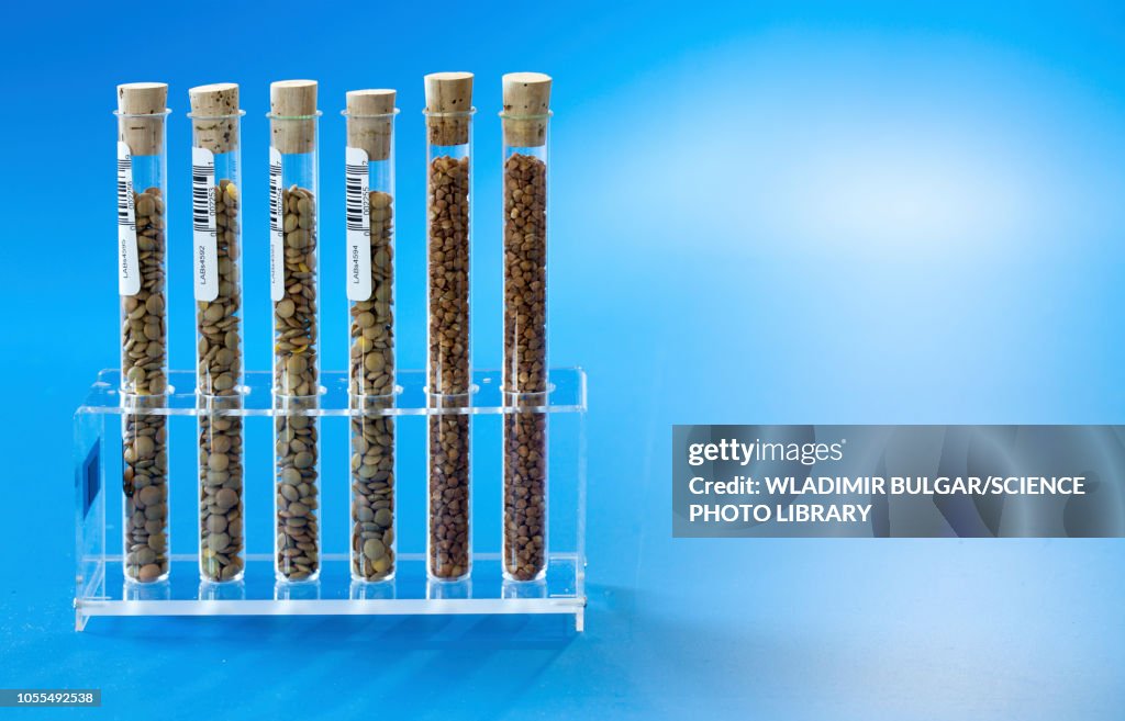 Agriculture research, conceptual image