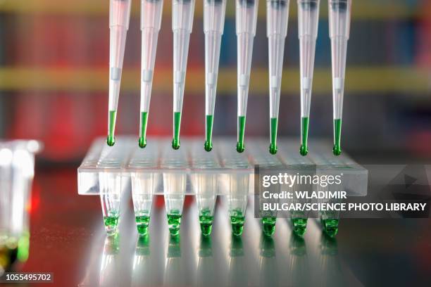 multichannel pipette - pipette stock pictures, royalty-free photos & images