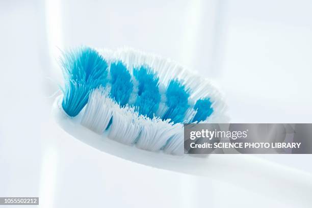Used Toothbrush Microscope 239 Used Toothbrush Stock Photos, High-Res Pictures, and Images - Getty ...