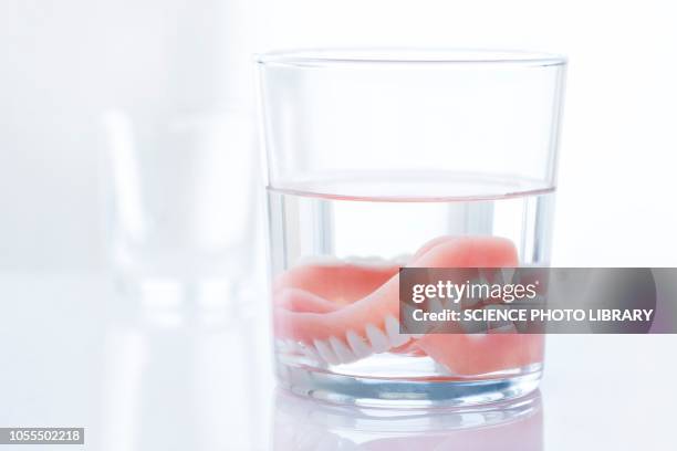 dentures in a glass of water - dentadura postiza fotografías e imágenes de stock