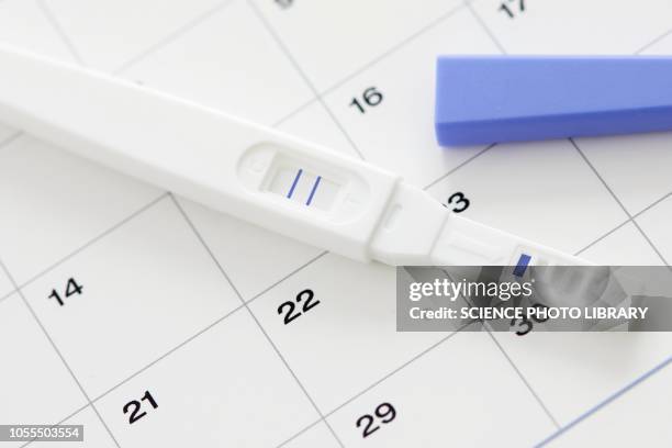 pregnancy test showing positive result and calendar - ovulation stock pictures, royalty-free photos & images