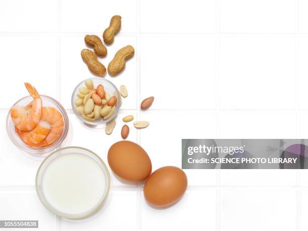 foods associated with allergies - food allergy stock pictures, royalty-free photos & images