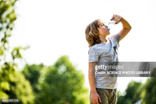 boy drinking water - boy drinking water stock pictures, royalty-free photos & images