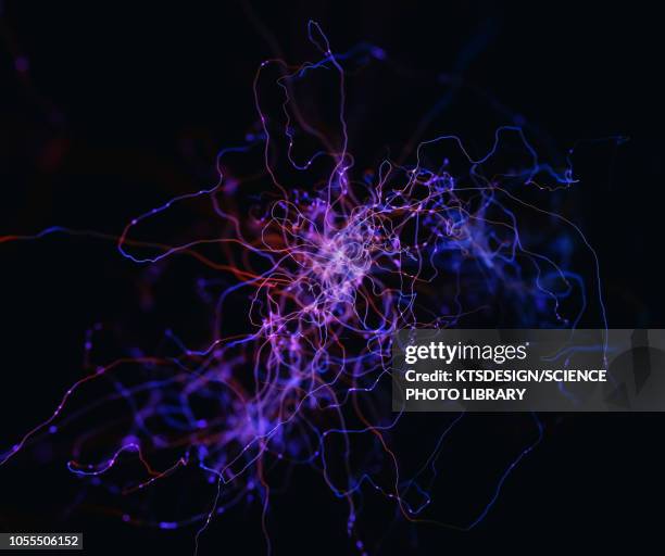 3 096点のニューロンイラスト素材 Getty Images 3 096点のニューロンイラスト素材 Getty Images