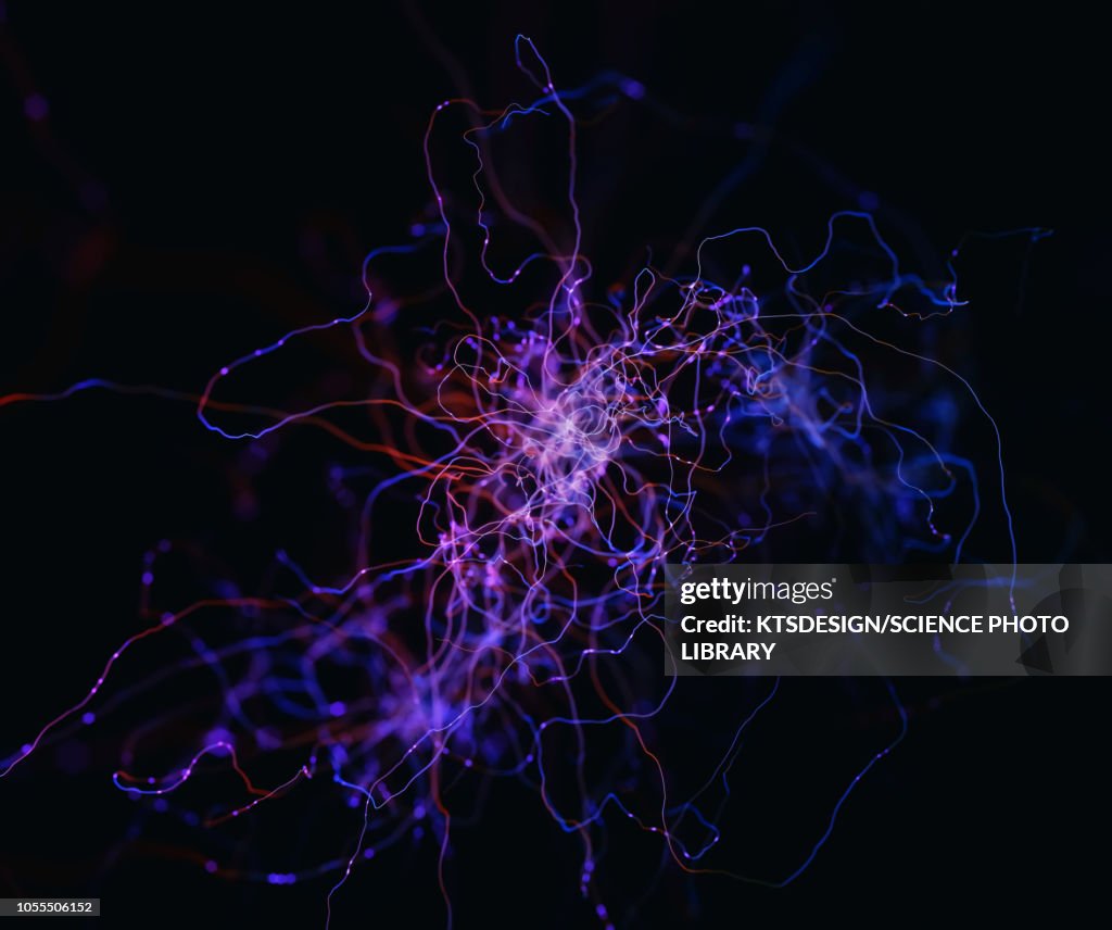 Graphical Abstract Neuron Abstract Neurons Illustration High-Res Vector Graphic - Getty Images