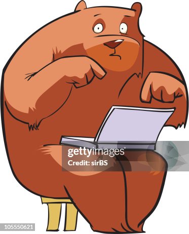 Bear Bear