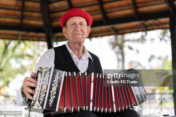 uomo senior di origini tedesche che gioca a fisarmonica a blumenau, santa catarina, brasile - fisarmonica strumento foto e immagini stock