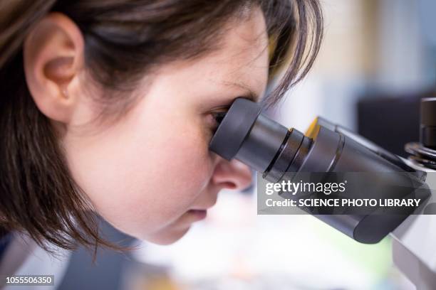 Microscope Side View Photos and Premium High Res Pictures - Getty Images