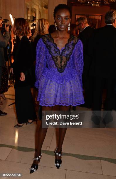 Nicole Atieno attends the Harper's Bazaar Women Of The Year Awards 2018, in partnership with Michael Kors and Mercedes-Benz, at Claridge's Hotel on...