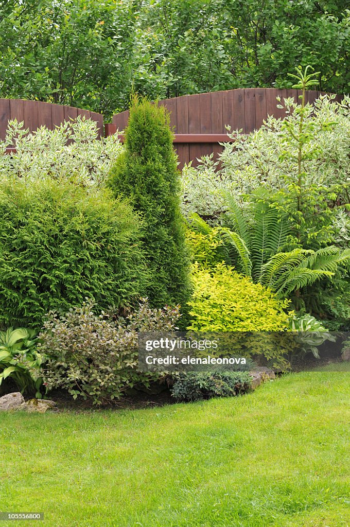 Picture of a well maintained garden