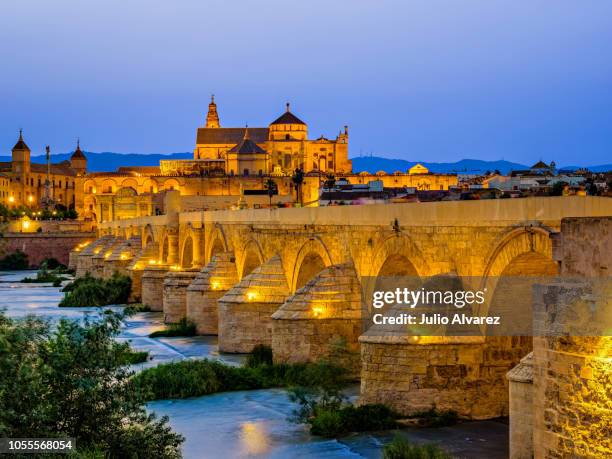 puente romano y mezquita de cordoba - roman bridge and mosque of cordoba - cordoba spain stock pictures, royalty-free photos & images