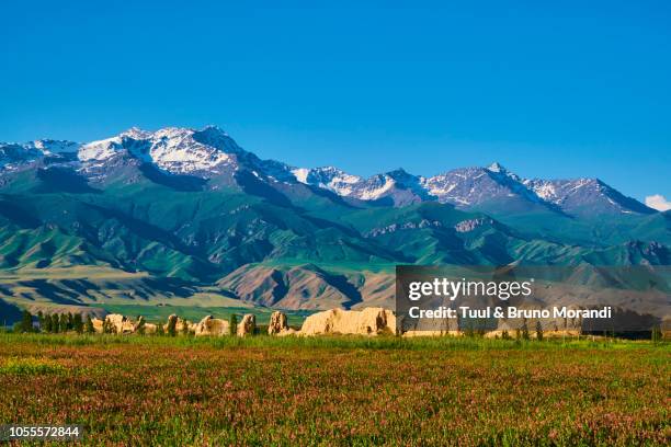 kyrgyzstan, koshoi korgon, ancient citadel - kyrgyzstan city stock pictures, royalty-free photos & images