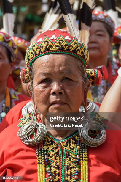 retratos de ancianos mujer dayak - dayak fotografías e imágenes de stock