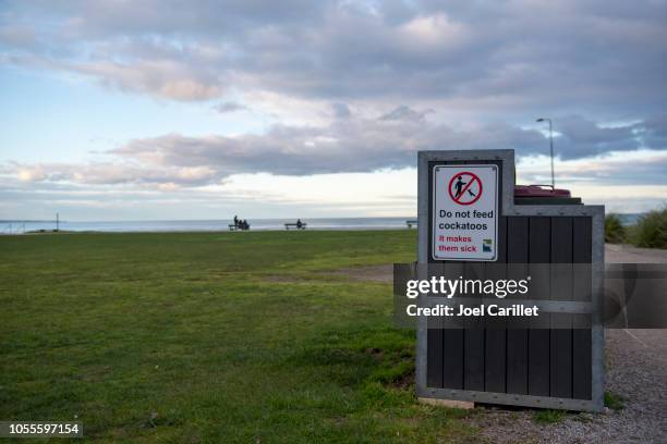 do not feed cockatoos sign in lorne, australia - cockatoo stock pictures, royalty-free photos & images