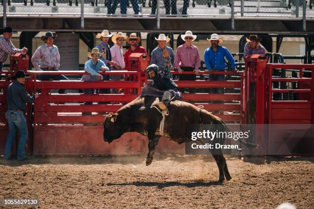Beefalo Rodeo 2,076 Rodeo Live Stock Photos, High-Res Pictures, and Images - Getty Images